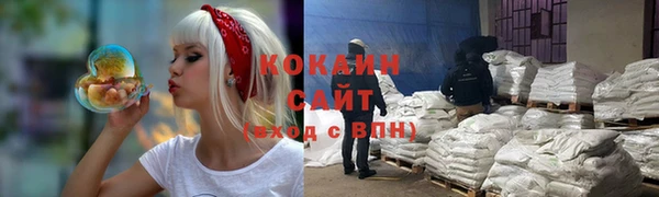 стафф Аркадак