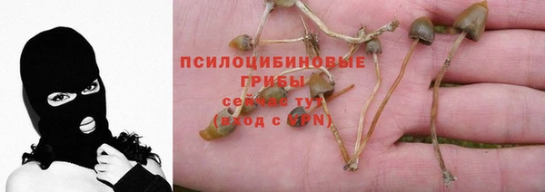 мескалин Алзамай