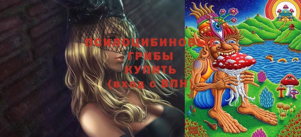 стафф Аркадак