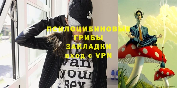 бошки Алексин