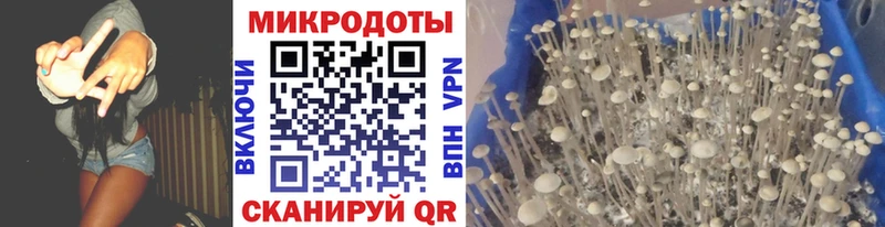 Псилоцибиновые грибы прущие грибы  Полысаево 