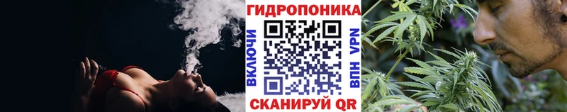 Бошки Шишки VHQ  Полысаево 